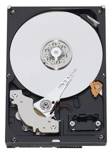 Western Digital HDD SATA-III  1000Gb (1Tb) Blue WD10EZEX, 7200rpm, 64MB buffer